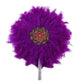 Feather Fan