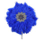 Feather Fan