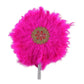 Feather Fan