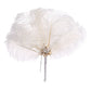 Ostrich Feather Fan With Pearl