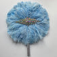 Turkey Feather Fan