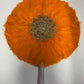 Feather Fan