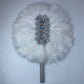 Feather Fan