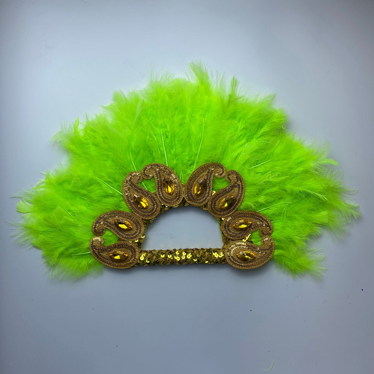Turkey Feather Fan