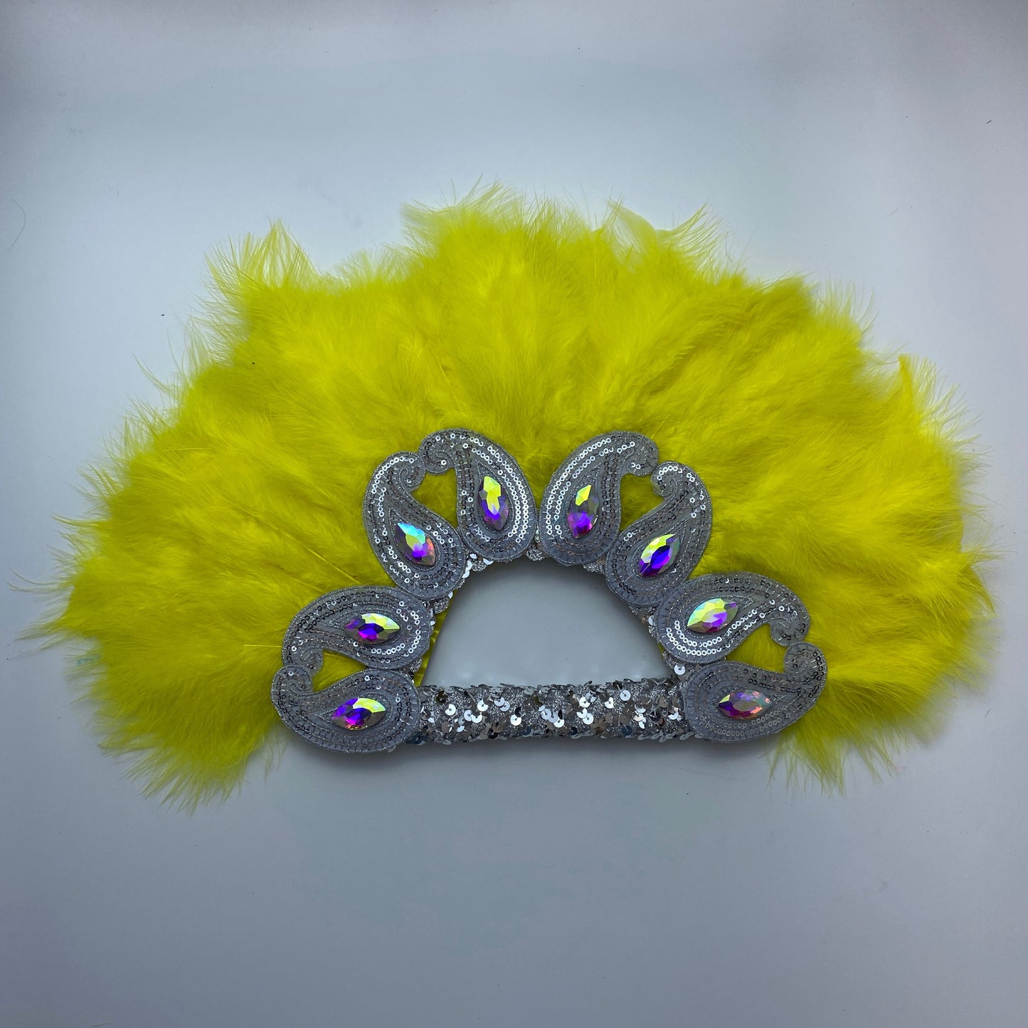 Turkey Feather Fan